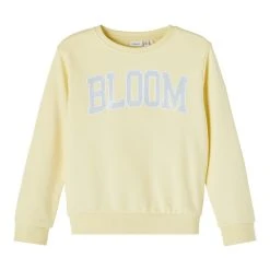 Name It Lasten Collegepaita NKFBROBLE LS SWEAT Kerma