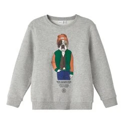 Name It, Lasten Collegepaita, NKMSALKO LS LOOSE SWEAT Vaaleanharmaa