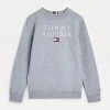 Tommy Hilfiger Childrenswear Lasten Collegepaita TH LOGO SWEATSHIRT Vaaleanharmaa -Name It shop tommy hilfiger childrenswear lasten collegepaita th logo sweatshirt vaaleanharmaa 1