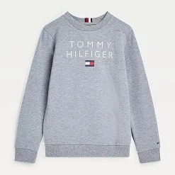 Tommy Hilfiger Childrenswear Lasten Collegepaita TH LOGO SWEATSHIRT Vaaleanharmaa