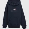 Tommy Hilfiger Childrenswear Lasten Huppari TH LOGO HOODIE Tummansininen