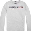 Tommy Hilfiger Childrenswear Tommy Hilfiger Lasten Trikoopusero, Flags Graphic Tee Ls Keskiharmaa -Name It shop tommy hilfiger lasten trikoopusero flags graphic tee ls keskiharmaa 1